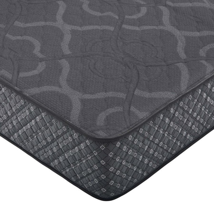 Bellamy - 12″ Firm Mattress